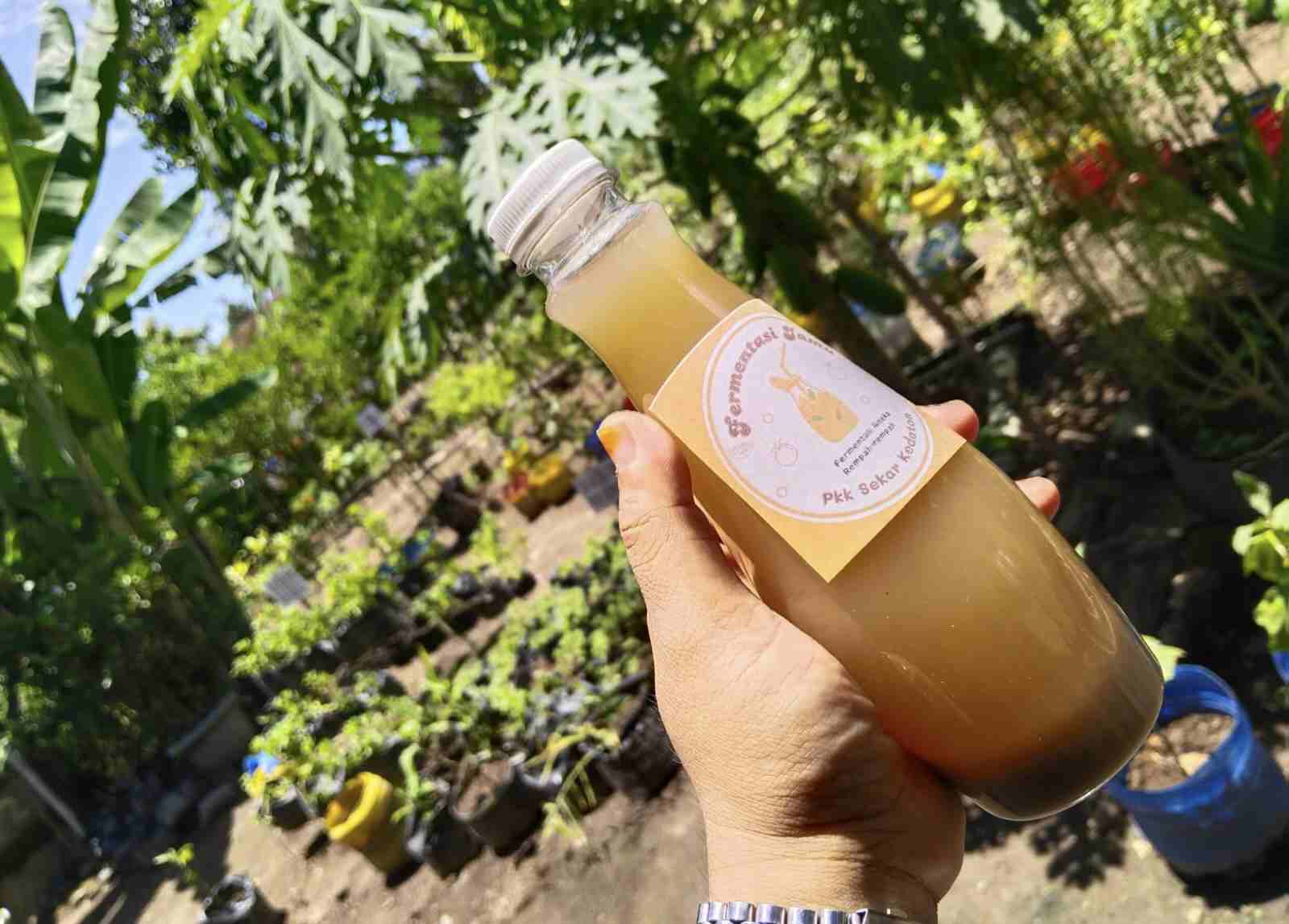 Kembangkan Jamu Fermentasi, Tim PPK LSis UGM Gelar Pelatihan Diikuti Kelompok Wanita Tani Desa Pleret Bantul