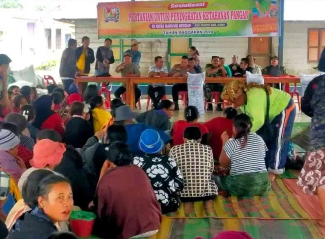 Polsek Munte Sosialisasi Pertanian,Tingkatkan Ketahanan Pangan di Desa Barung Kersap