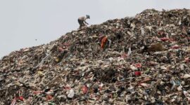 Sumber gambar: VOA Indonesia