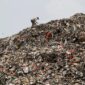 Sumber gambar: VOA Indonesia