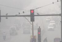 Seekor merpati bertengger di atas tiang lampu lalu lintas yang diselimuti kabut asap tebal di New Delhi, India, Kamis, 14 November 2024. (Foto: Manish Swarup/AP)