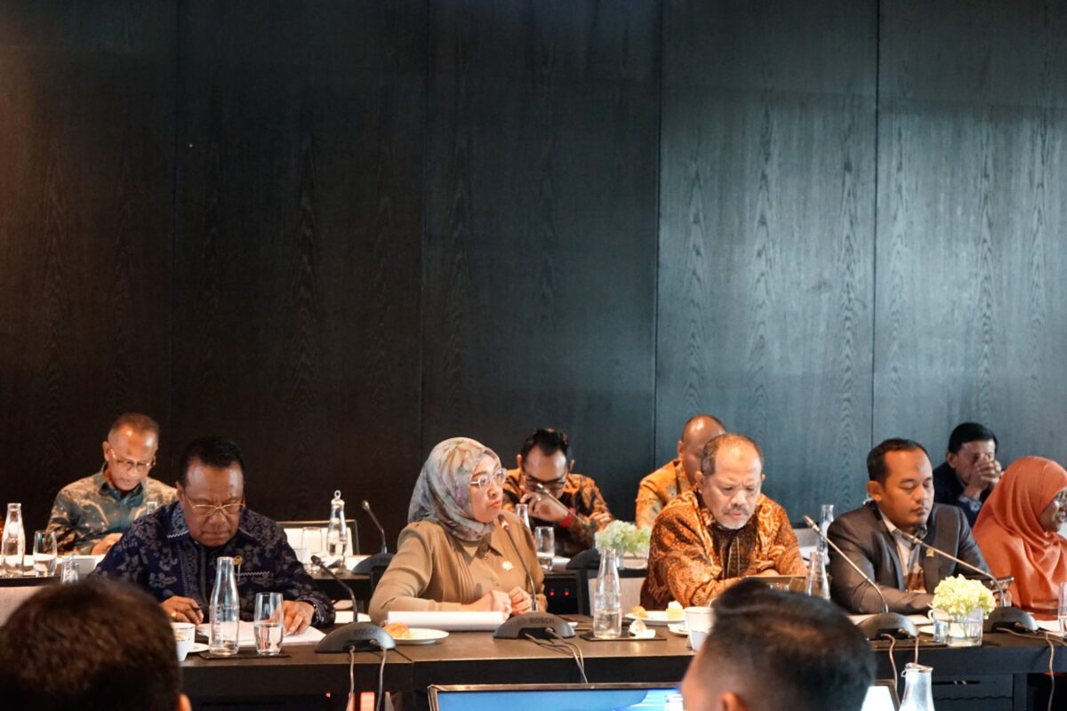Hindun Anisah dalam FGD bersama BPS (Erina)