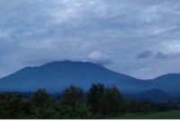 Pengamatan visual ke arah puncak G. Raung tanggal 17 Desember 2024, pkl 05.16 WIB. Teramat hembusan gas berwarna putih intensitas sedang dengan tinggi kolom 300m dari atas puncak