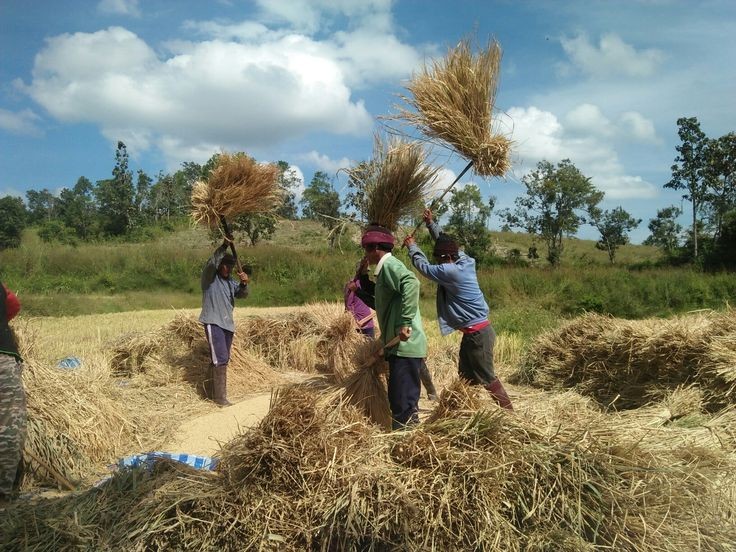 Siap-siap! Petani dan Nelayan Wajib Bahagia, Utang-utangnya Akan Dihapus Prabowo