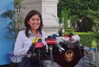 Menkomdigi Meutya Hafid / sumber: pinterest