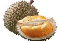 Durian Hitam / Black Thorn. Sumber gambar: pinterest