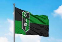 Ilustrasi bendera HMI/ pinterest