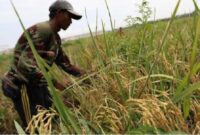 Foto: CNBC Indonesia/Muhammad Sabki
