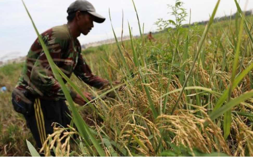 Kisah Petani di Trenggalek yang Viral, Dia Bangun Jembatan dari Uang Menang Judi Rp 50 M: “Konyol, tapi Bermanfaat Juga Rupanya”