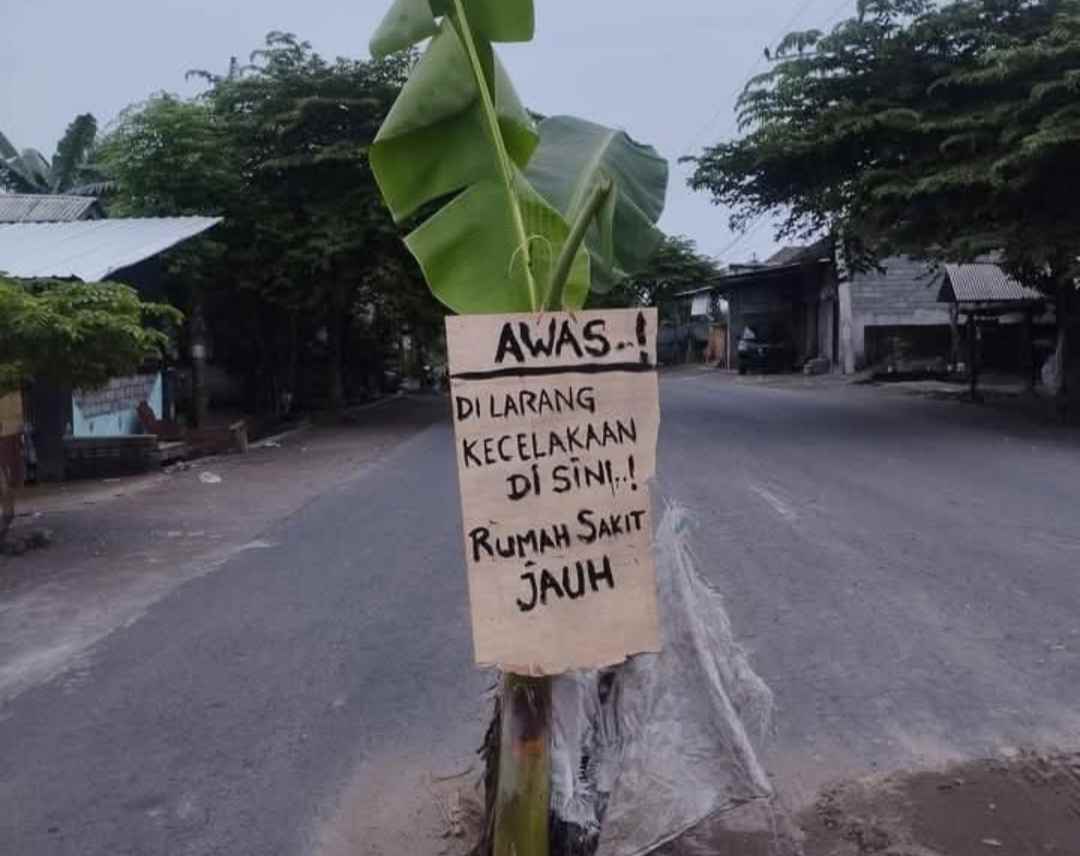 Viral! Jalan Berlubang di Kendal Ditanami Pohon Pisang, Cek Selengkapnya!