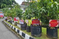 Foto; Kompas.com