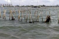 POV; Pagar Laut/ sumber: Fajar.co.id