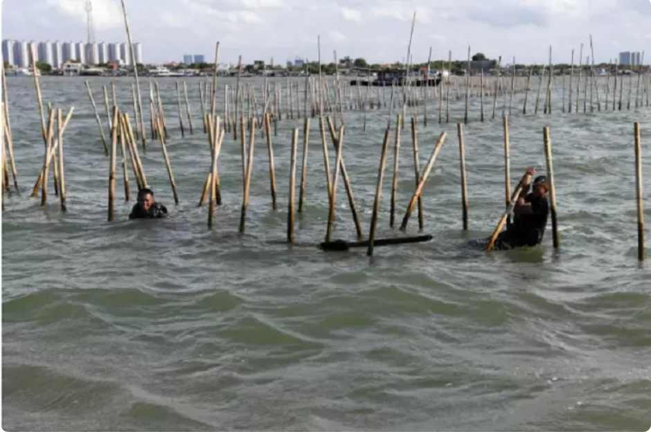 Kasus Pagar Laut Dihentikan, Kok Kayak Ada yang Aneh ya?