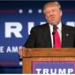 Presiden Amerika Serikat Donald Trump. (The Nation)
