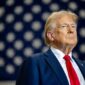 Presiden Amerika Serikat, Donald Trump. Sumber; Tommy Hyman (pinterest) 

