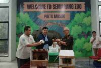 Sumbangan satwa eksotis dari Mbarep Abyasa Line untuk Semarang Zoo. Senin, 10/3/2025