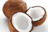 Komoditas ekspor kelapa dari Indonesia (gambar; pinterest) 