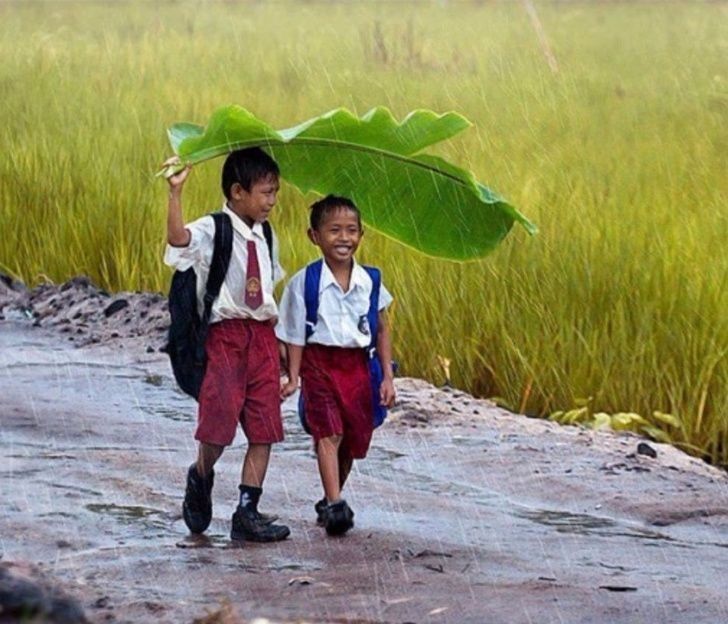 Anakmu Nggak Bodoh, Kamu Aja yang Nggak Paham Potensinya