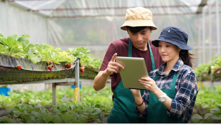 Pendidikan Agribisnis bagi Generasi Muda di Lingkungan Urban