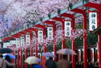 Ilustrasi di negeri Sakura, Jepang. (Gambar: pinterest) 