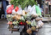 Ilustrasi penjual sayur dengan bronjong. Sumber gambar: pinterest.com
