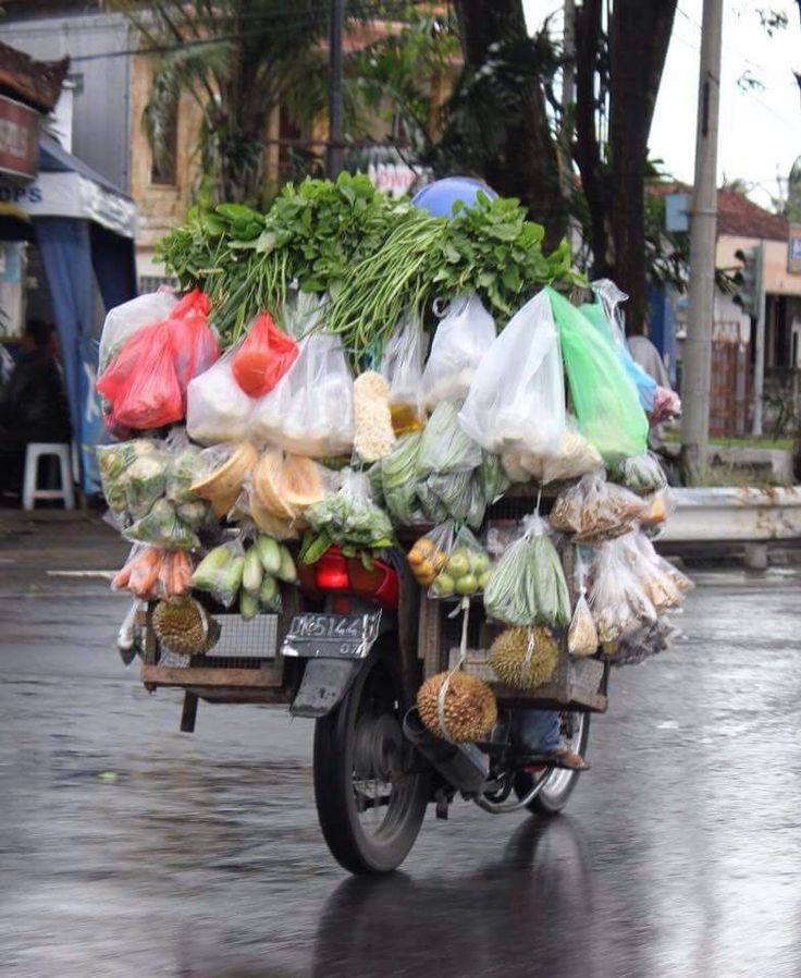 Monster Jalanan yang Bikin Pusing: Dari Bronjong Sampai Emak-Emak Belok Feeling!