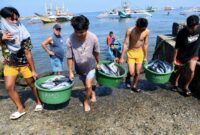 Mengusung ikan dari kapal nelayan. (Foto: pinterest) 