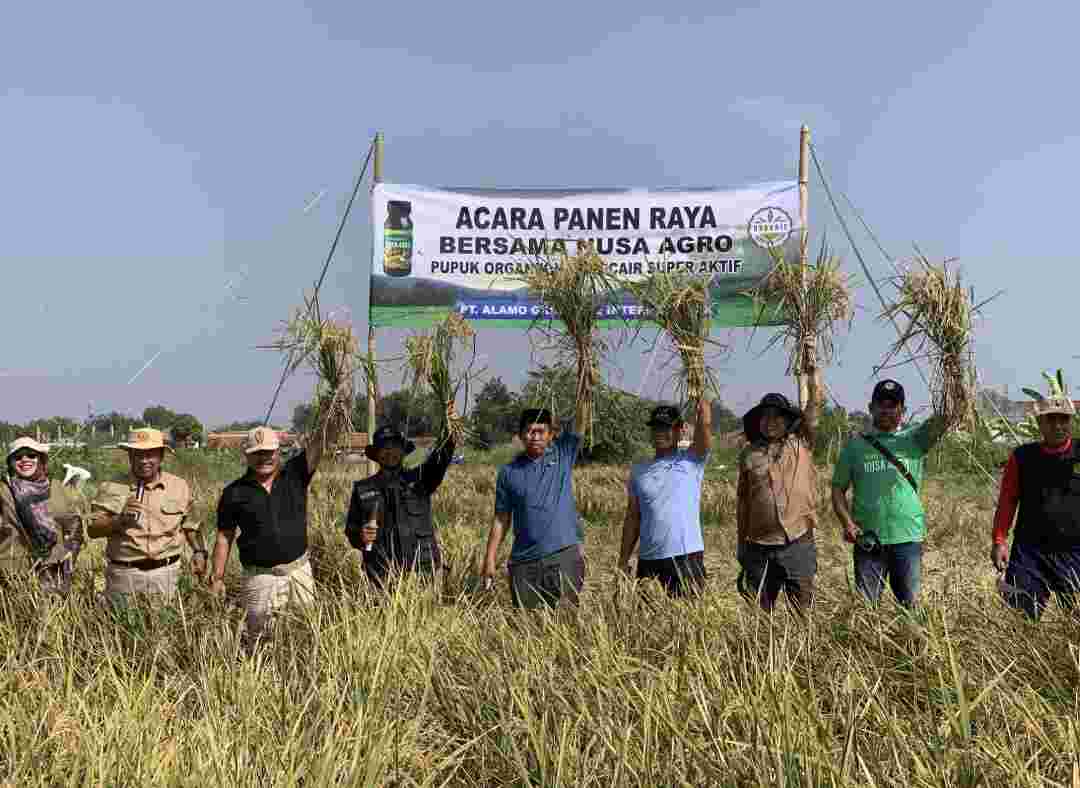 Bapak Kuwu Amirrudin Apresiasi Hasil Panen Raya Di Desa Dawuan Kecamatan Tengah Tani