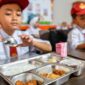 Ilustrasi Program Makan Bergizi Gratis di sekolah dasar (foto: tempo.co) 
