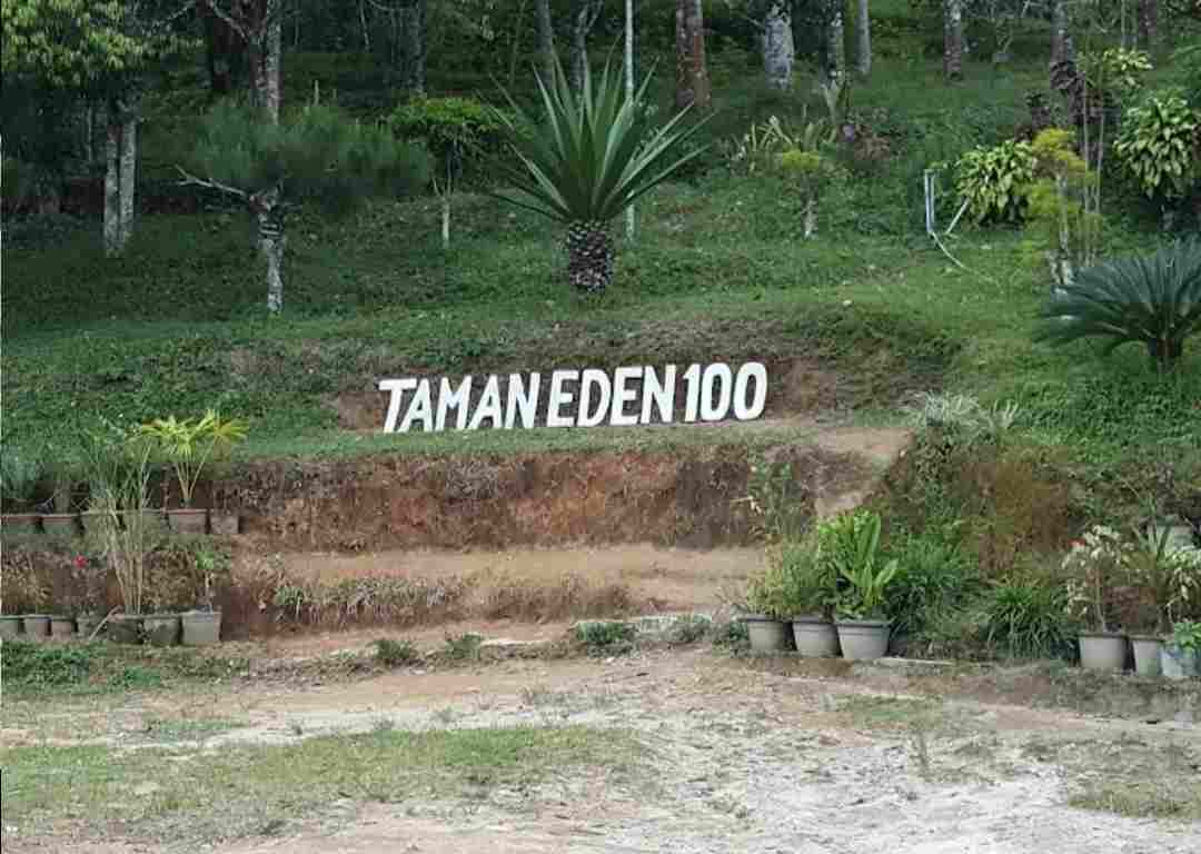 Menyelamatkan Napas Terakhir Eden 100: Seruan Konservasi untuk Sumatera Utara