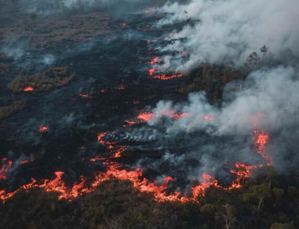 Pembukaan Lahan dan Problem Pembakaran Lahan Gambut di Indonesia