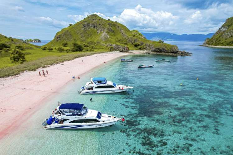Pulau Komodo Masuk Daftar Destinasi Terbaik Dunia 2026 Versi BBC, Indonesia Makin Mendunia!