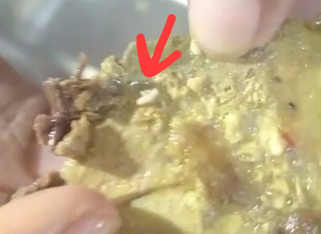 Pinrang Geger! Sopir MBG Narkoba, Makanan Siswa Berbelatung—HMI Minta Korwil SPPG Angkat Kaki