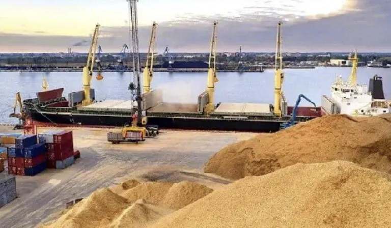 Bukan Main! Rusia Bidik Indonesia Jadi Pasar Utama Gandum hingga 2036