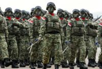 Anggota TNI melakukan atraksi saat gladi HUT TNI ke 67 di Bandara Udara Halim Perdanakusuma Jakarta Timur, Rabu (3/10/2012). Sejumlah atraksi militer seperti penerjunan, manuver pesawat dan gelar pasukan akan dipertunjukkan pada HUT TNI ke 67 pada 5 Oktober mendatang. TRIBUNNEWS/HERUDIN