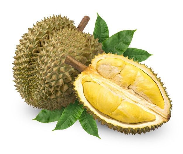 Festival Durian Gunungpati Siap Naik Kelas! Camat Targetkan Jadi Agenda Wisata Tahunan Semarang