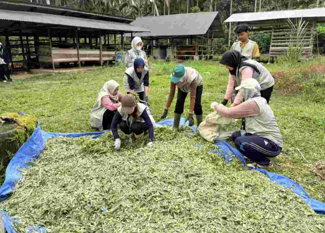 Bangkit Pascabanjir, Tim USK Hadirkan Teknologi Fermentasi dan Irigasi Tetes untuk Warga Bireuen