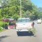 Mobil Program KDKMP Mogok di Salatiga viral di media sosial. (Foto: Tangkapan Layar akun instagram @d10n_w4hyu)
