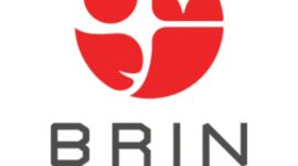 Logo Badan Riset dan Inovasi Nasional (BRIN) / sumber: pinterest