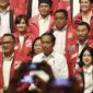 Foto: kompas.com
