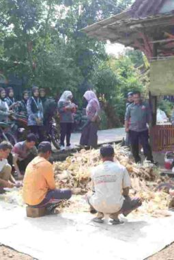 Cuma 4 Hari, Mahasiswa UIN Walisongo Bikin Warga Kendal Merasa Punya Keluarga Baru!