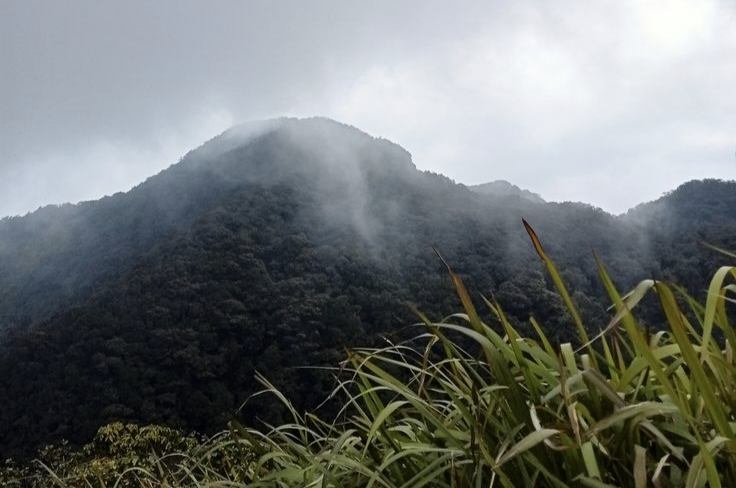 POV: Gunung Ungaran. (sumber gambar: pinterest) 