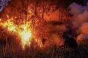 POV: Kebakaran hutan di Kalimantan. (Foto: ANTARA) 