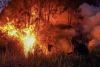 POV: Kebakaran hutan di Kalimantan. (Foto: ANTARA) 