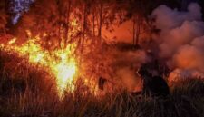 POV: Kebakaran hutan di Kalimantan. (Foto: ANTARA) 