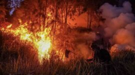 POV: Kebakaran hutan di Kalimantan. (Foto: ANTARA) 
