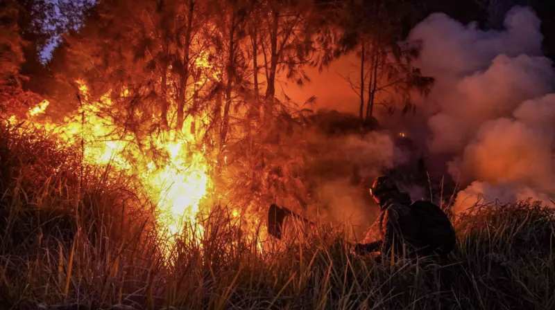 POV: Kebakaran hutan di Kalimantan. (Foto: ANTARA) 
