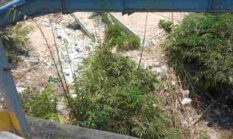 Tumpukan Sampah Menggunung di Bawah Jembatan Pasar Sugio, Warga Keluhkan Bau hingga Rawan Kebakaran