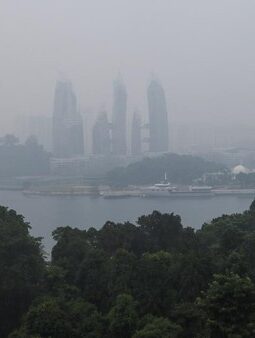 Kasihan Negara-negara Tetangga RI, Menderita Akibat Karhutla